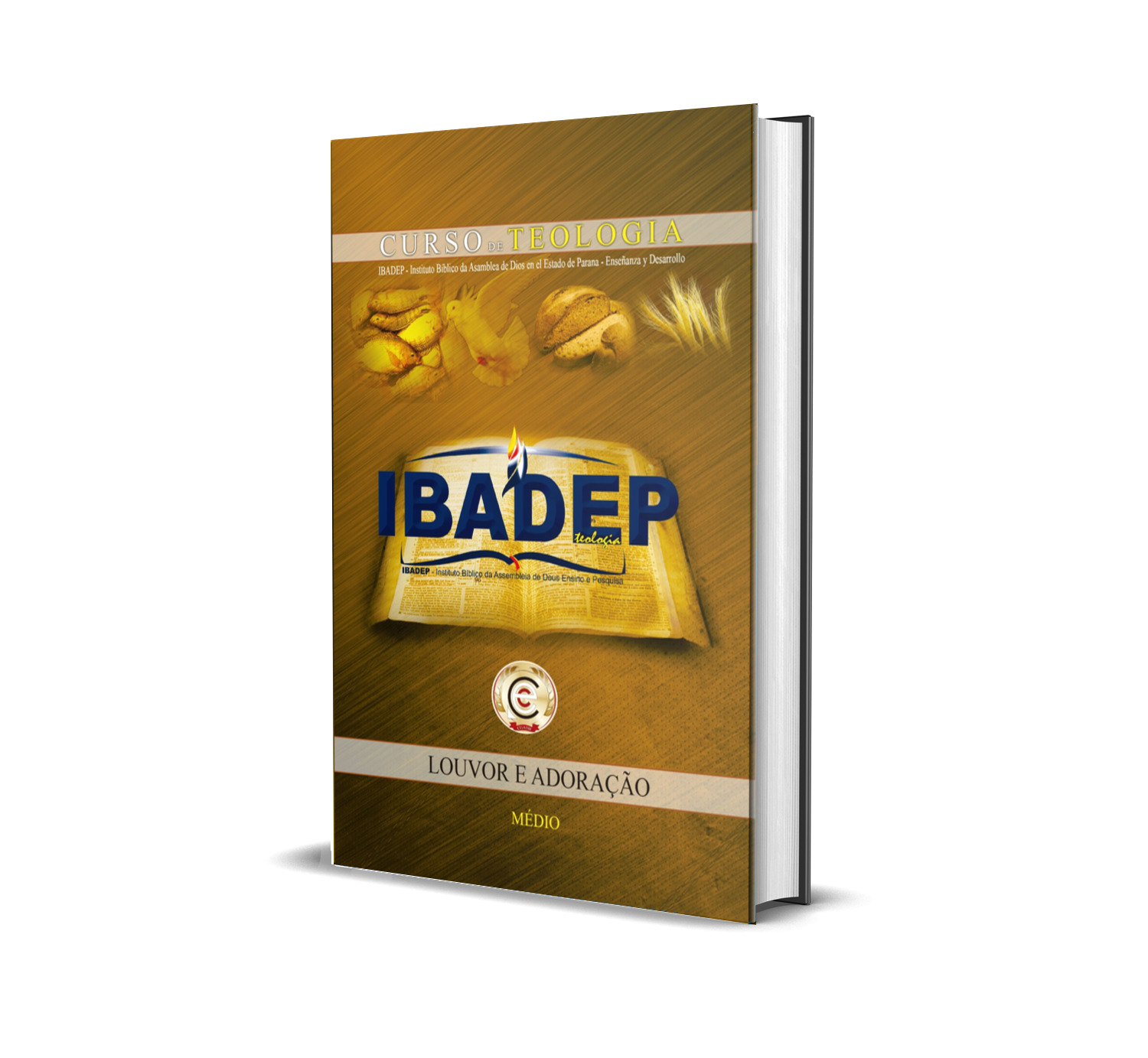 Imagem de Curso Médio de Teologia